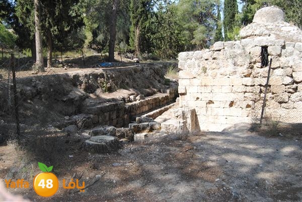 re7la 3emwas 0517 (10).JPG